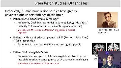 Introduction to Cognitive Neuroscience: Session 3.5 (Brain lesion studies)