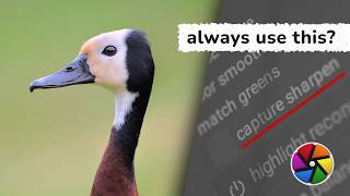 Always Use Capture Sharpening In Darktable?