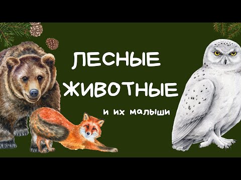 Лесные животные и детеныши | Животные для детей | Звуки животных
