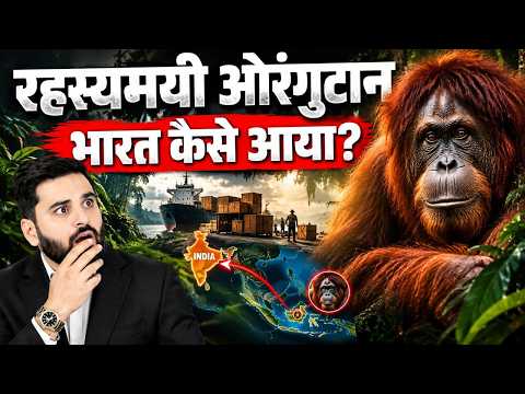 5 Orangutans Rescued in Odisha | Were They Kept by Humans? Orangutans in Odisha?