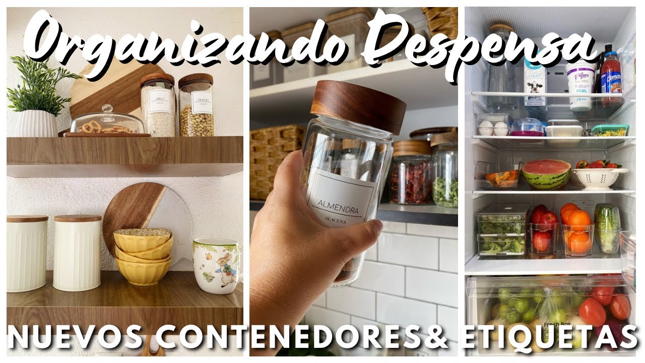 Organizando Despensa y Refrigerador 🫙🧺🥦  ¡ Estoy estrenando contenedores y etiquetas ! Cocina fácil