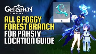 All 6 Foggy Forest Branches Locations Guide | Pahsiv's Fairy Of Erinnyes Quest End | Genshin Impact