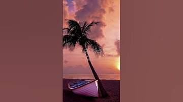 اكتب شيء تؤجر عليه #القرآن_الكريم #ماهر_المعيقلي #سورة_النمل #quran