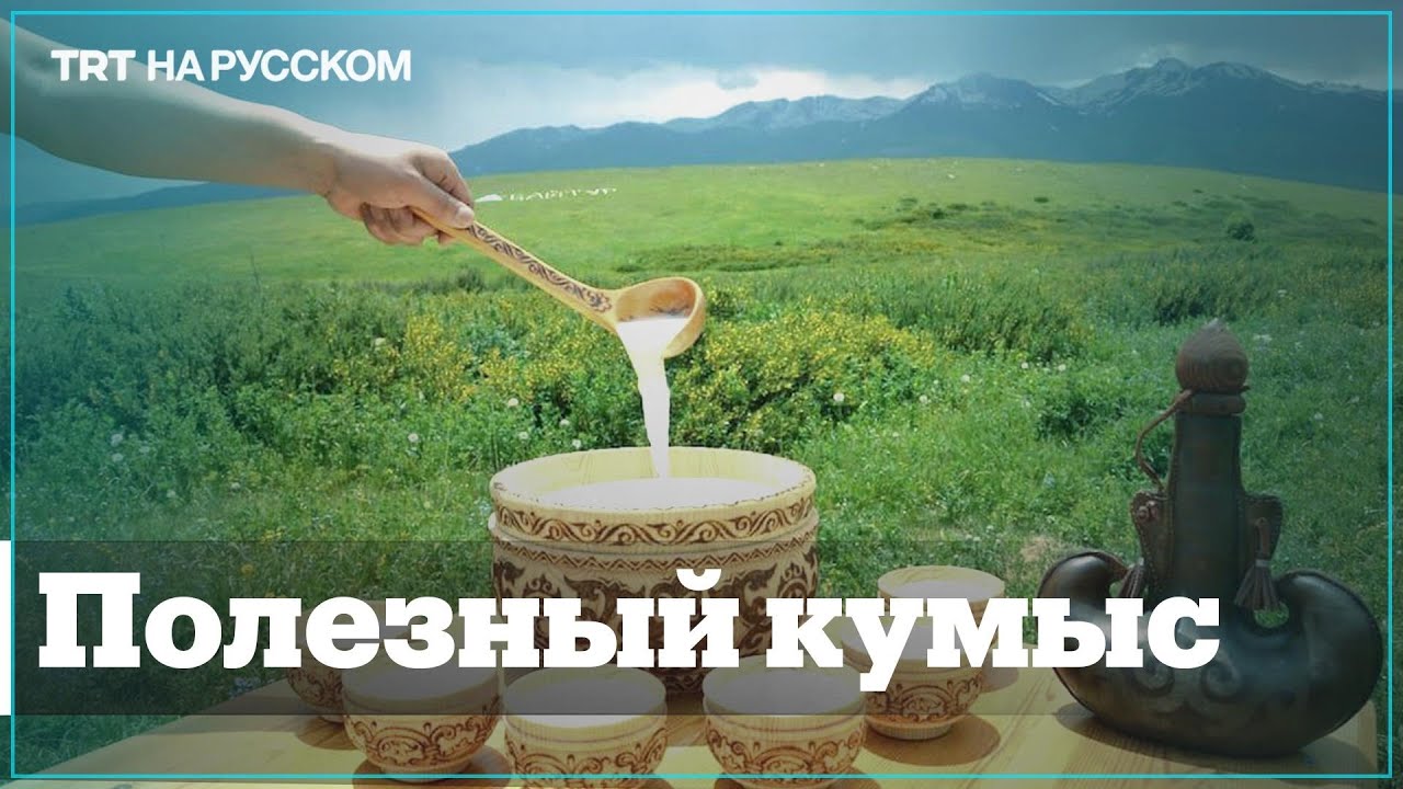 Мама купила 4 л кумыса. Кумыс. Кумыс напиток. Кумыс баннер. Кумыс музыкальный инструмент.