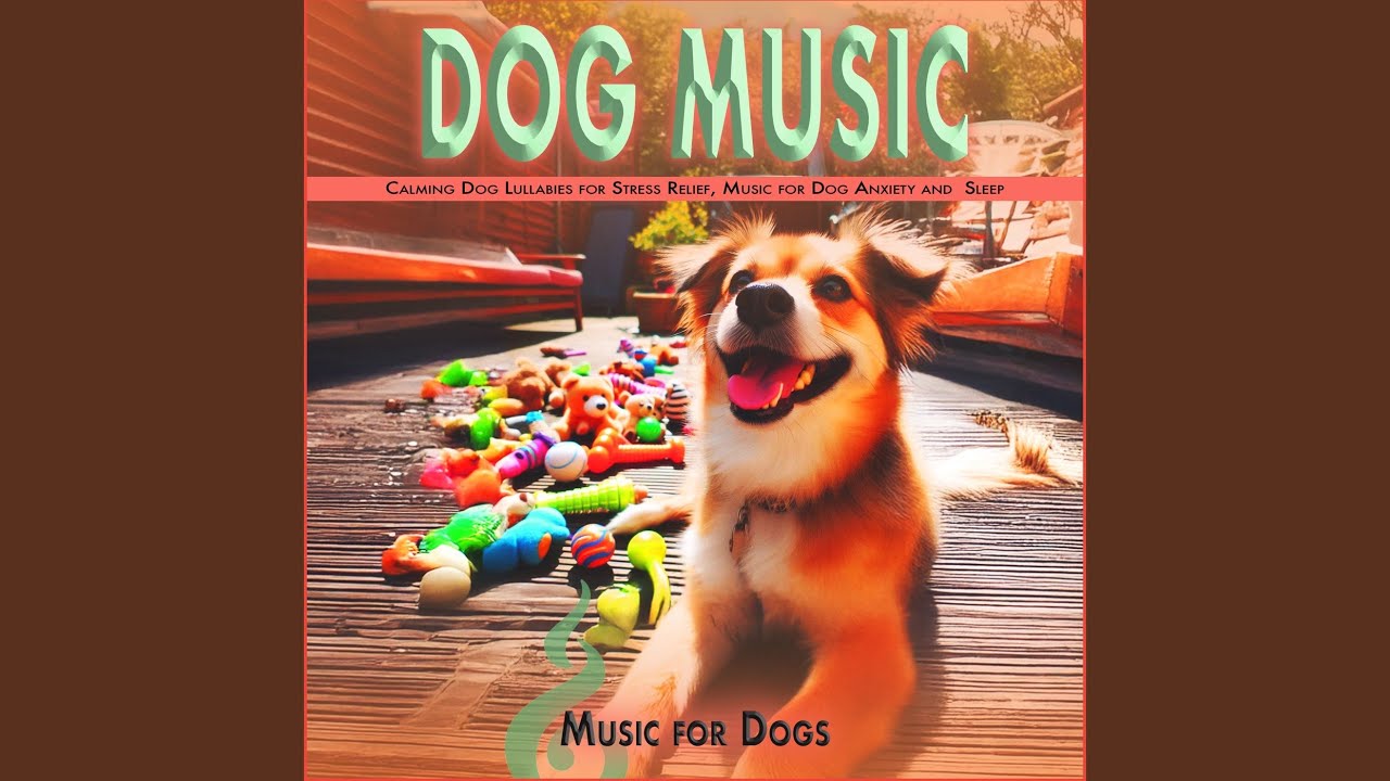 Healing Dog Sleep Vibes