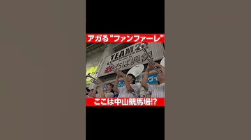 ここは中山競馬場 最高にアガるファンファーレ Shorts 