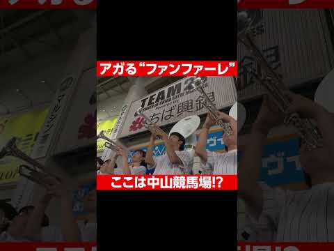 ここは中山競馬場 最高にアガるファンファーレ Shorts