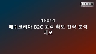 메쉬코리아 B2C 고객 확보 전략 분석 데모