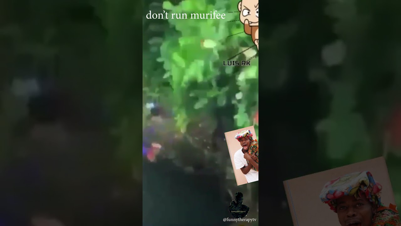 Dangerous Risk Murifee  Took |