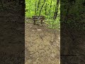 Calloway Peak Part 1 (Grandfather Mountain, NC)