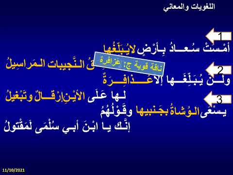 العفو مأمول 1