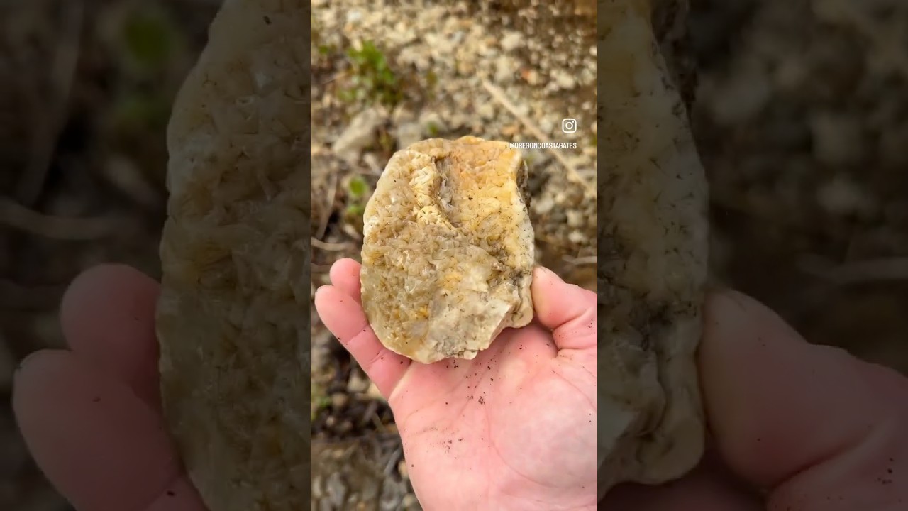 EPIMORPH Agate! 🤩🤘💎 