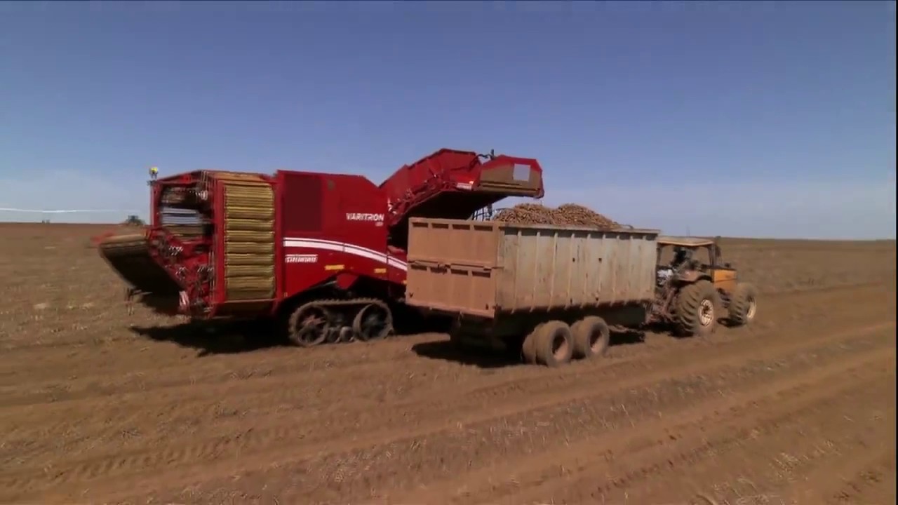 Globo Rural - A Batata 4/4