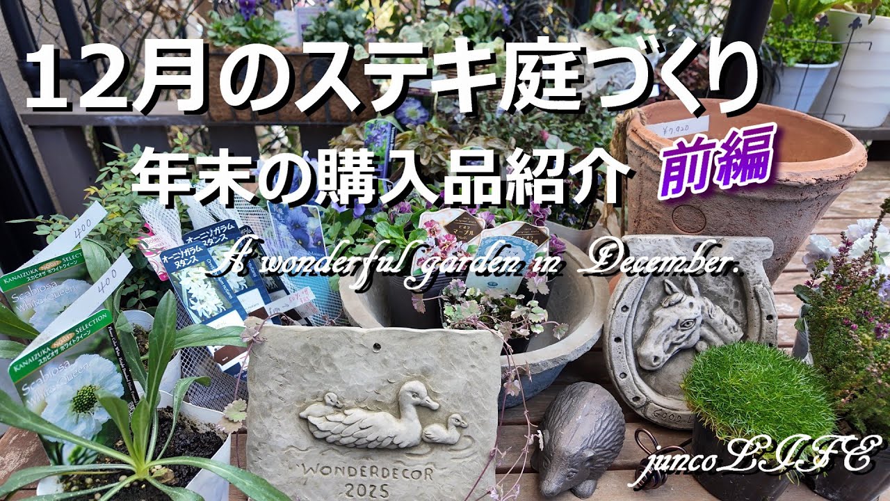 初めてのワンダーデコールさん＆青葉農園さん＊今シーズン最終日のローズガーデンカネコさん＊購入品紹介＊猫ちゃん