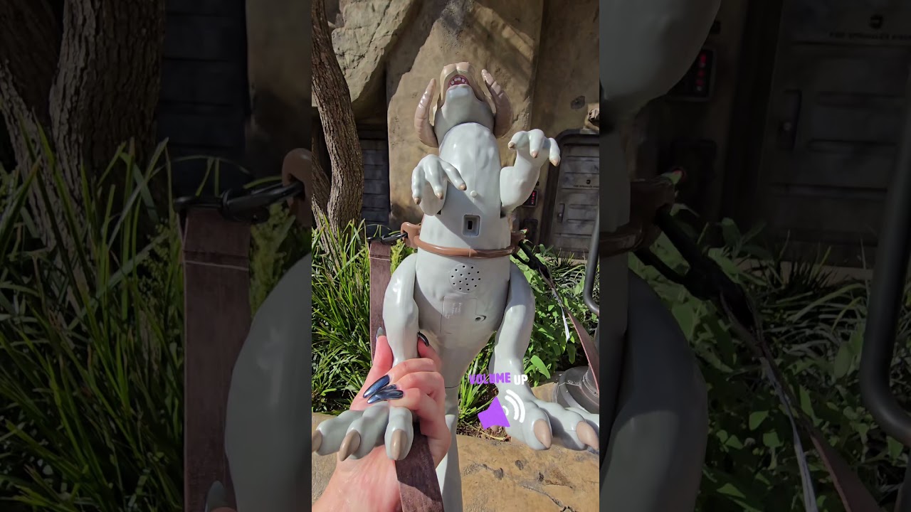 ✨️NEW TAUNTAUN POPCORN BUCKET at Disneyland!! 