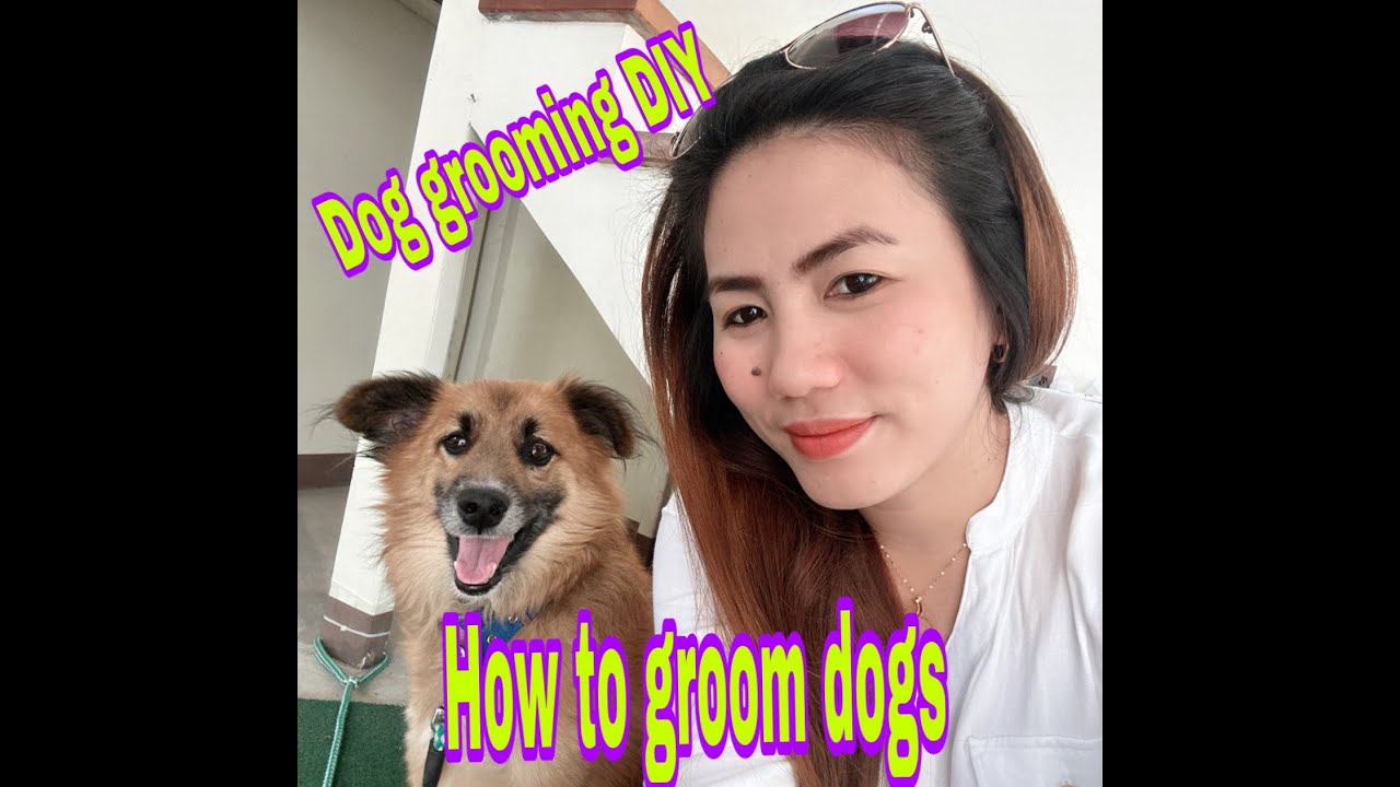 How to groom dog Pet Grooming at home Philippine animal lover