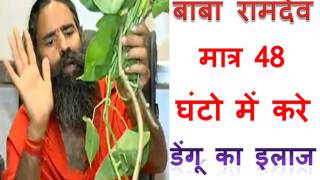 डेंगू के घरेलु उपचार और नुस्खे - Home Remedies for Dengue Fever Treatment डेंगू के घरेलु उपचार और नुस्खे - Home Remedies for Dengue Fever Treatment