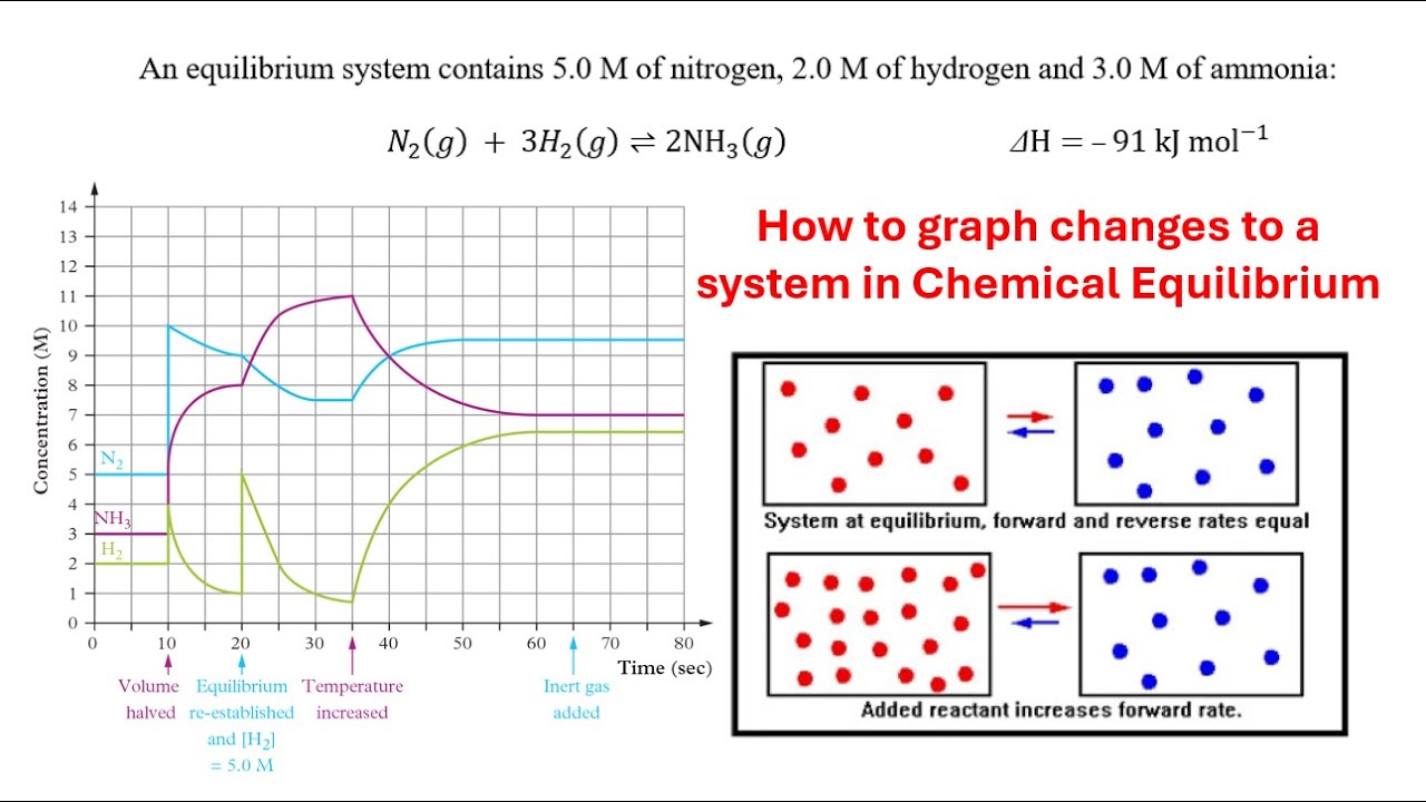 Chemistry: How to graph changes to a system in Dynamic Equilibrium ...