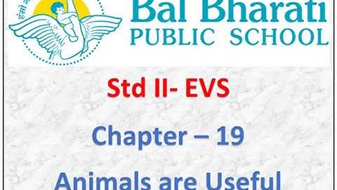 II EVS Chapter 19 Animals are Useful Part 3