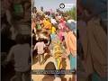 BREAKING Mass Exodus In Sokoto Village As Residents Flee Alleged Attacks By Bello Turji S Bandits 