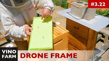 Varroa Mite Management - Drone Frames