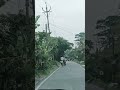 gehara hua | #viralvideo #viral #nature #naturelovers #outing #song #shortvideo