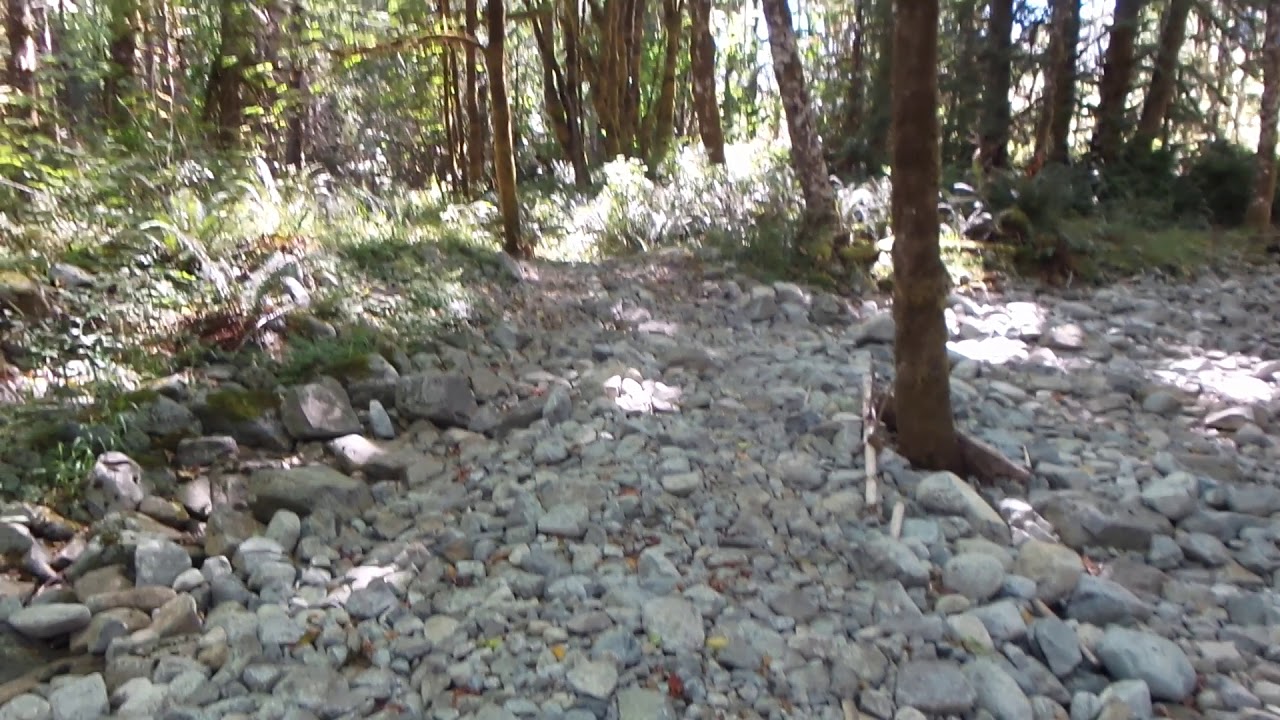 Tuck Lake - Cowichan Valley - 20200817 144430