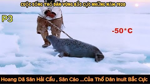 P3 . Hoang Dã Săn Hải Cẩu , Cuộc Sống  hổ Dân Inuit Bắc Cực  !920