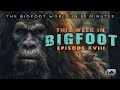 This Week in Bigfoot-(S1,E18) FULL EPISODE
