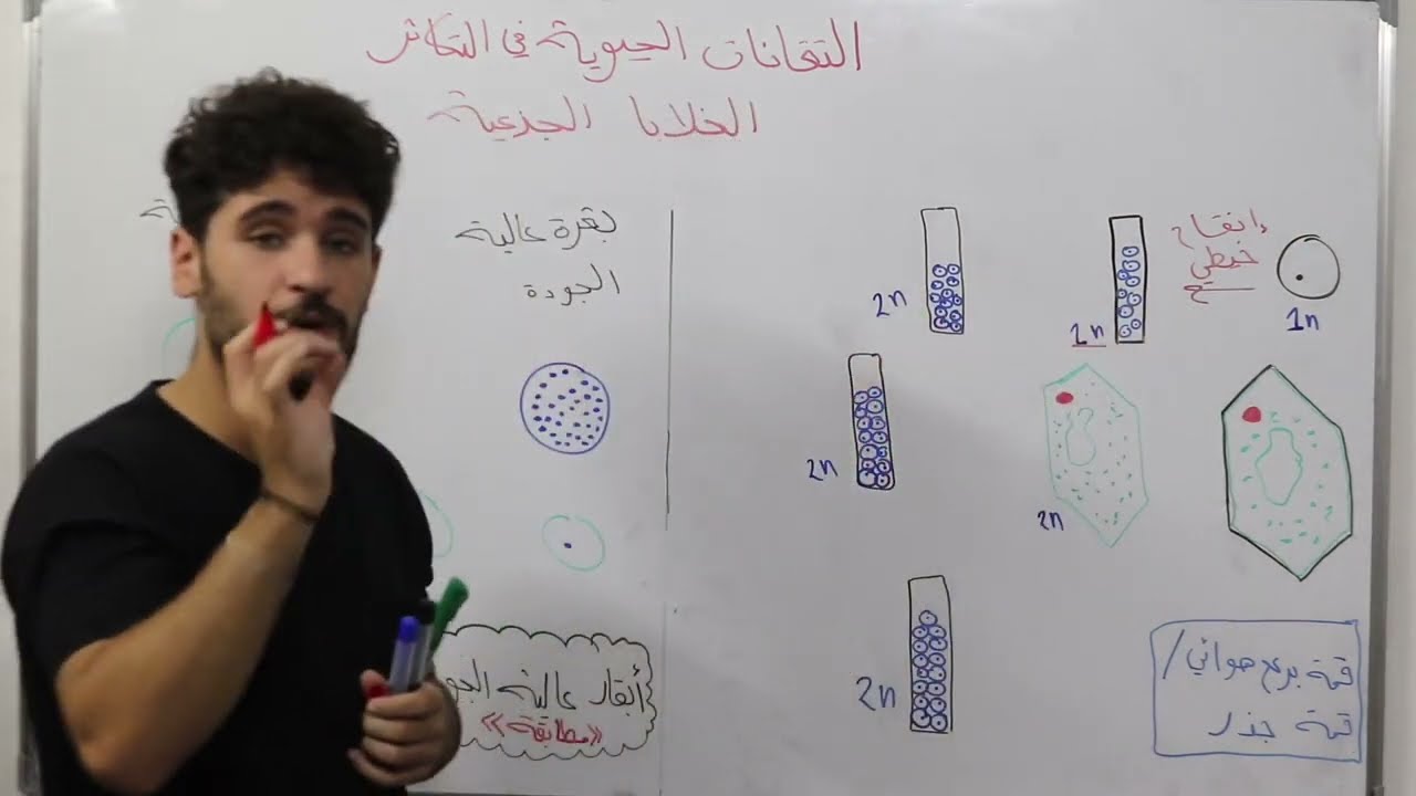 تكاثر - التقانات الحيوية || علوم بكالوريا سوريا