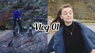 I GOT TO SEE PENGUINS!! / ОЛЕСУНН, НОРВЕГИЯ // VLOG 01