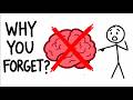 How Your Memory Works | The Science of Human Memory Simplified