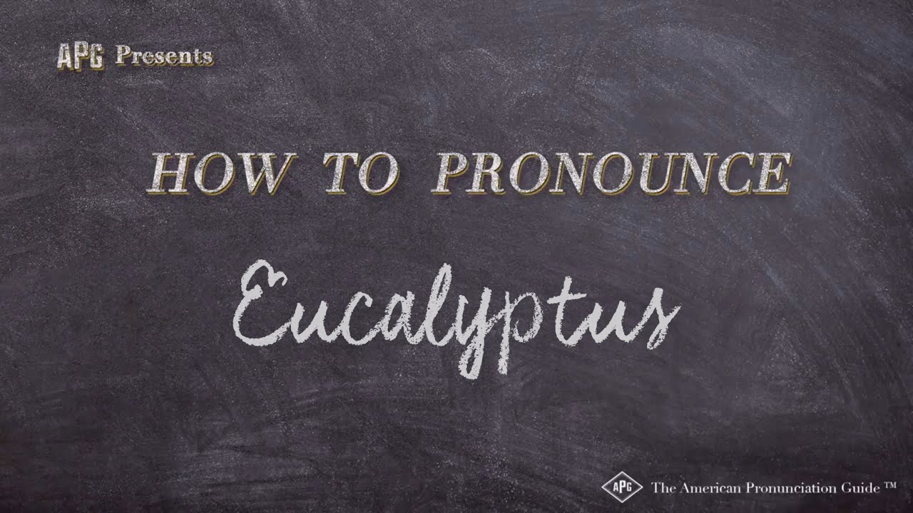 How to Pronounce Eucalyptus (Real Life Examples!) YouTube
