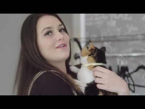 Building Bridges (2020) - Short Film