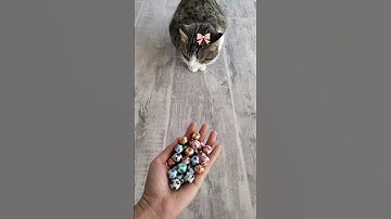 Tommy 😺 Reverse Beads ASMR #shorts #reverse