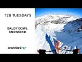 T2B Tuesdays – Baldy Bowl  |  Snowbird  |  2020-2021