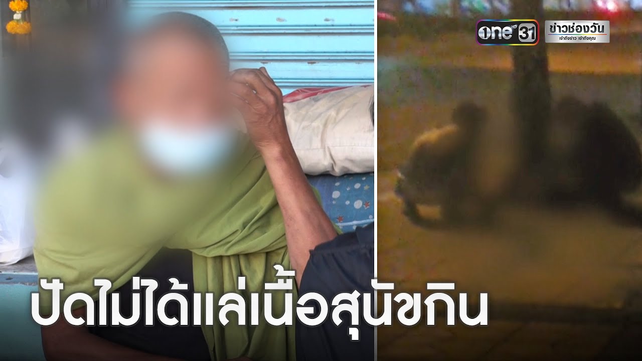 ชายเร่ร่อนปัดชำแหละเนื้อสุนัขกิน | ข่าวเย็นช่องวัน | ข่าวช่องวัน