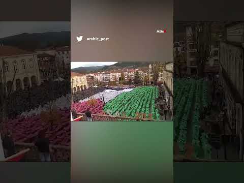 Mais de 3.000 pessoas formam um mosaico humano na Espanha para apoiar a Palestina