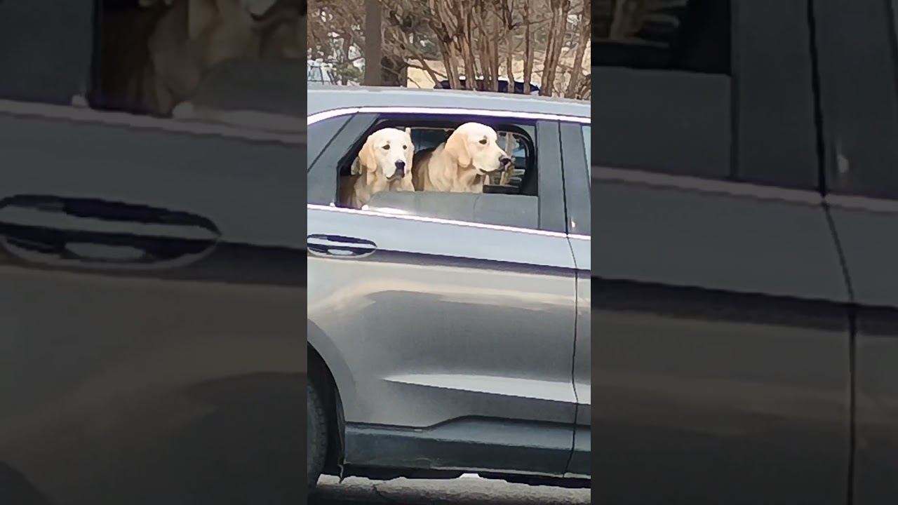 От незнакомца до спутника жизни 💕🙏 