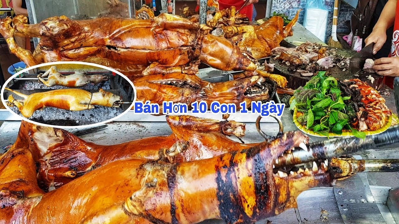 Food VN Review - Bất Ngờ Gặp Quán Thịt Chó Quay Nổi Tiếng Thơm Ngon #13 ...