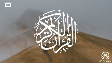 قرآن كريم بصوت ناصر القطامي  || حالات واتس اب دينية || مقاطع دينية قصيرة
