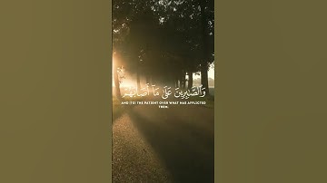 استغفر الله العظيم واتوب اليه. القارئ #ماهر_المعيقلي، سورة الحج. #القرآن #القرآن_الكريم #quran