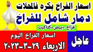 اسعار الفراخ اليوم / سعر الفراخ البيضاء اليوم الاربع 29-3-2023 جمله وقطاعي