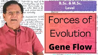 Forces of Evolution - Gene Flow || B.Sc. & M.Sc. Level