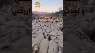 🤲💖🤲 اللهم اغفر لي وارحمني واهدني وعافني وارزقني 🤲💖🤲 دعاء الزرق و البركة 🤲💖🤲 الشيخ مشاري الخ