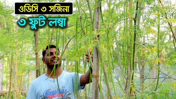 Jinsiy olatni tashqariga chiqarmasdan ogizdagi sperma