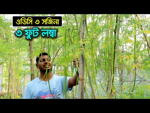 Xotinning sobiq qiz dosti fotosurati 3 MB hajmdagi porno video