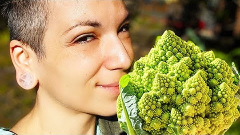 Fibonacci & Golden Ratio/ Math, Art, Nature/#ArtsySecondSunday