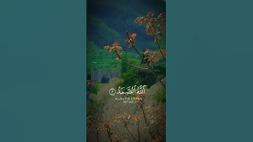 سورة الاخلاص #قران_كريم #اكسبلور #الرحمن #music #راحة_نفسية #المصحف #تيك_توك #المراه #duet #اعتني #