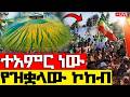 Live የዝቋላው አቦ የዛሬው ተአምር ነው የዝቋላው ኮከብ መጋቢት 5 2018 ዓ ም Gebre Menfes Kidus Live የዝቋላው አቦ የዛሬው ተአምር ነው የዝቋላው ኮከብ መጋቢት 5 2018 ዓ ም Gebre Menfes Kidus